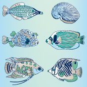 diverse Fische Illustration