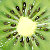Kiwi Frucht Illustration